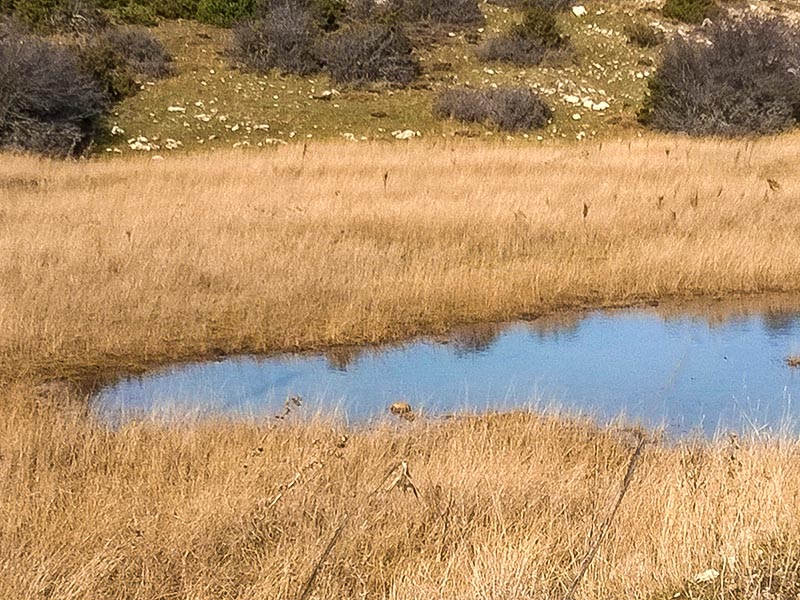 Μικρή λίμνη στο όρος Ζήρεια